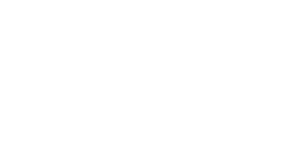 logo bez tłaWHITE